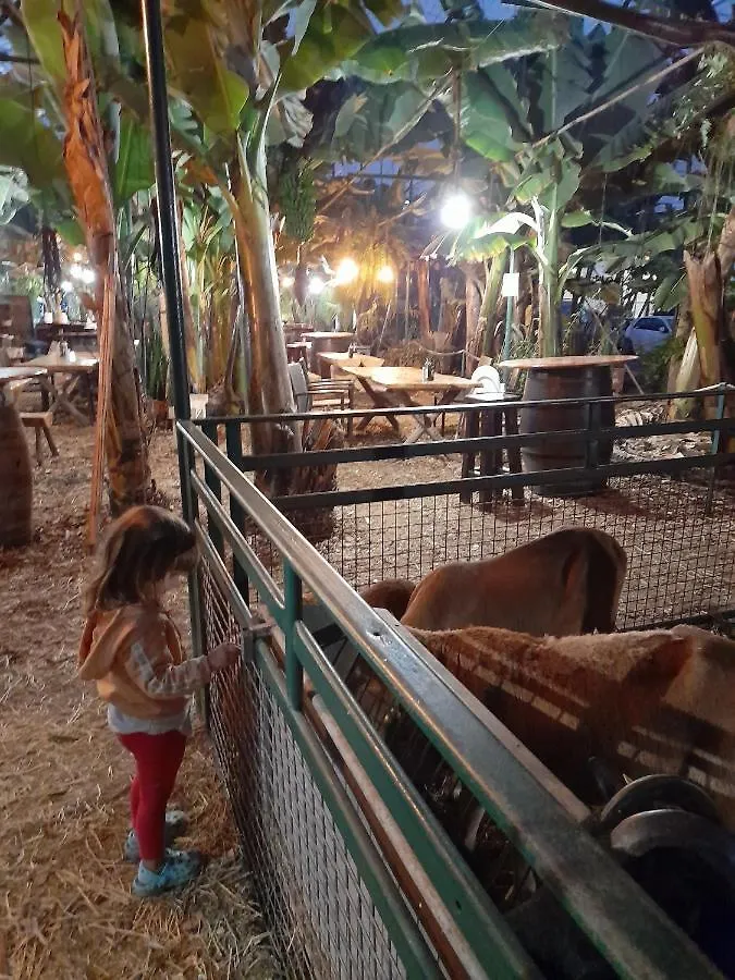 Guargacho Homestay San Miguel de Abona